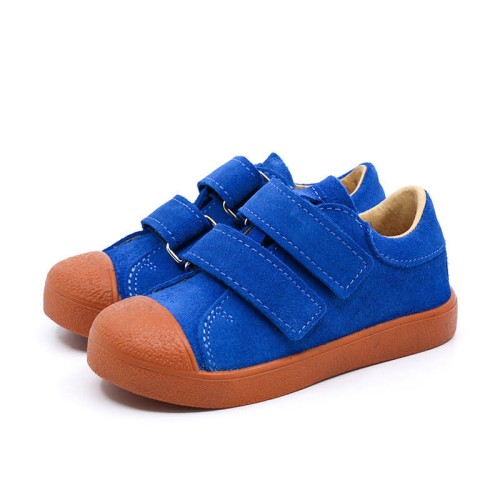 fico_electric_blu_1.jpg